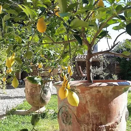 La Bastide De Tom Alojamento de Acomodação e Pequeno-almoço